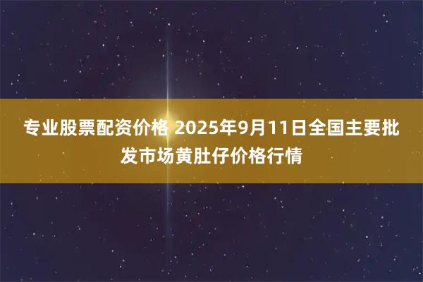 专业股票配资价格 2025年9月11日全国主要批发市场黄肚仔价格行情