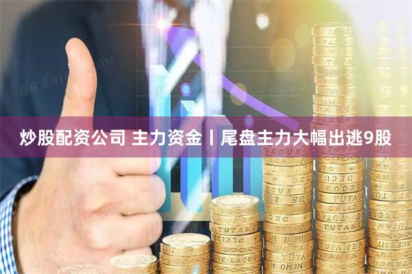 炒股配资公司 主力资金丨尾盘主力大幅出逃9股