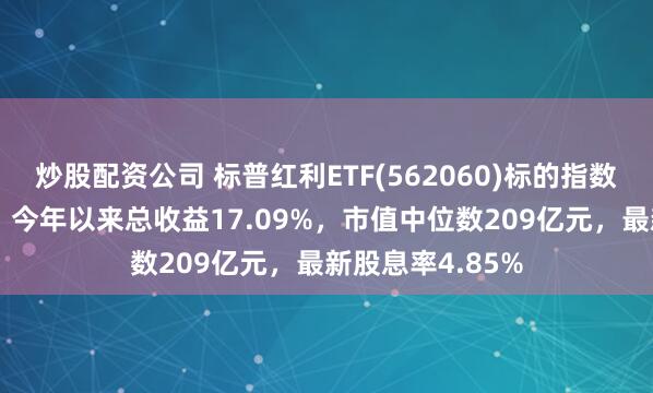 炒股配资公司 标普红利ETF(562060)标的指数11月月报出炉！今年以来总收益17.09%，市值中位数209亿元，最新股息率4.85%